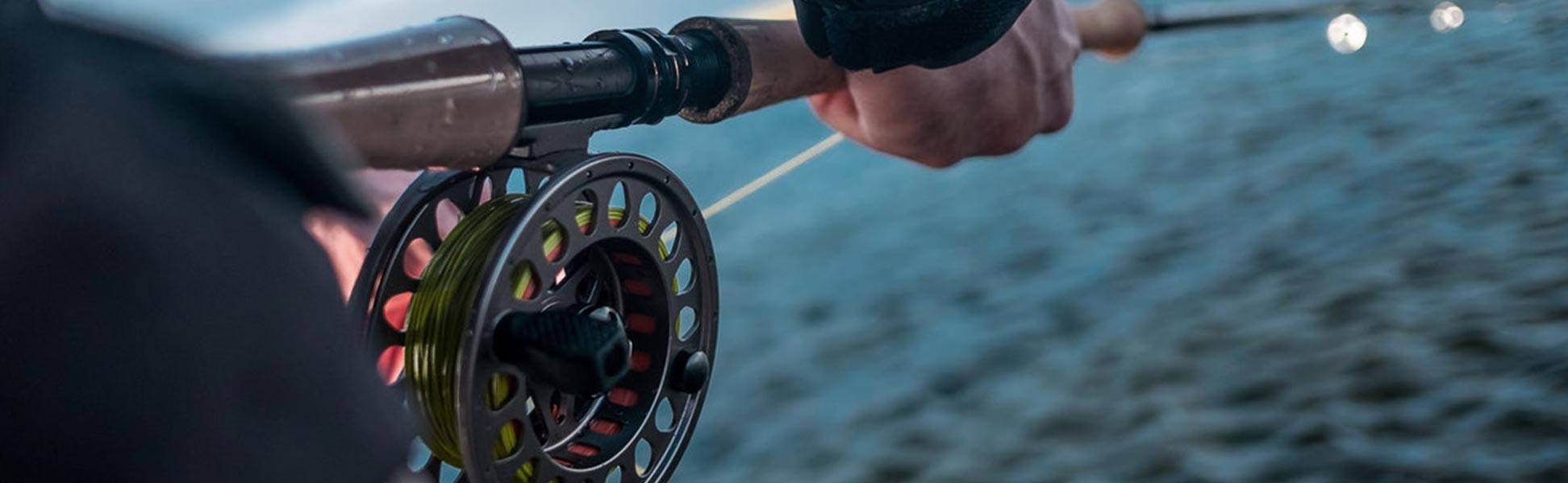 Salmon Lines